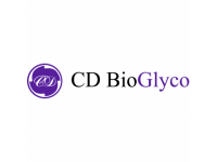 Custom Glycosylation of Antibodies