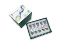 Recombinant Human ABCB10 protein, GST-tagged