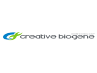 Gene Editing Services